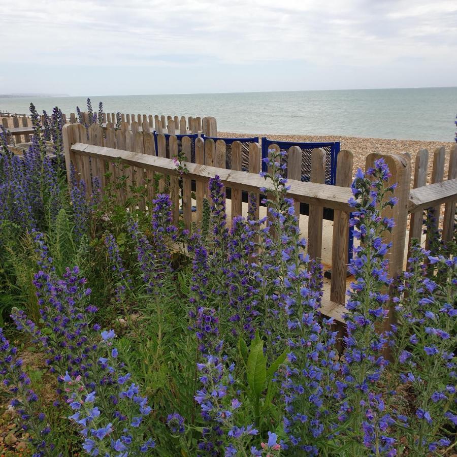 Beachfront Studio Pevensey Kültér fotó